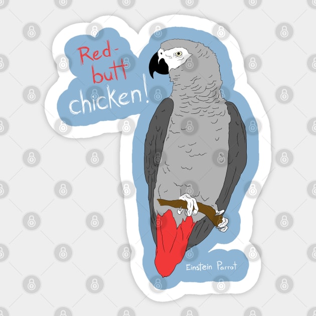 African Grey Parrot Red Butt Chicken Sticker by Einstein Parrot